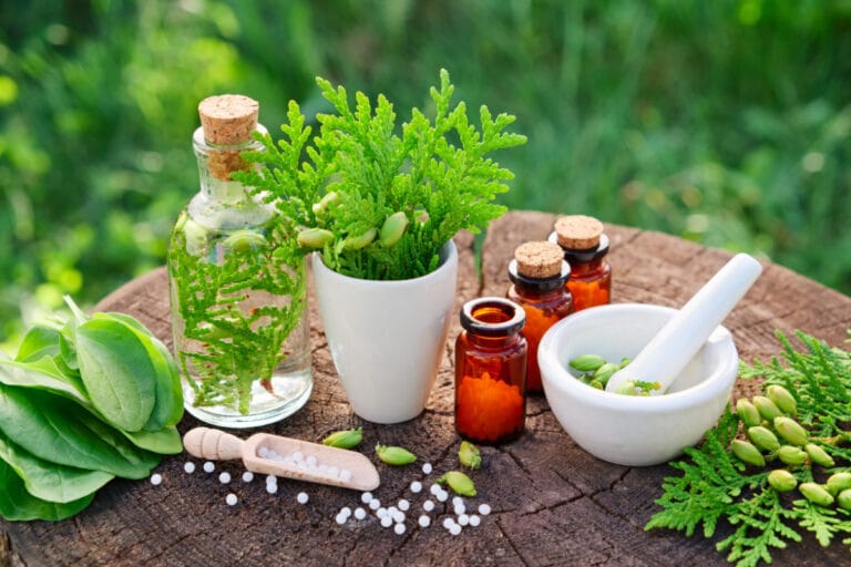 fitoterapia