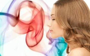 olfato na memória emocional