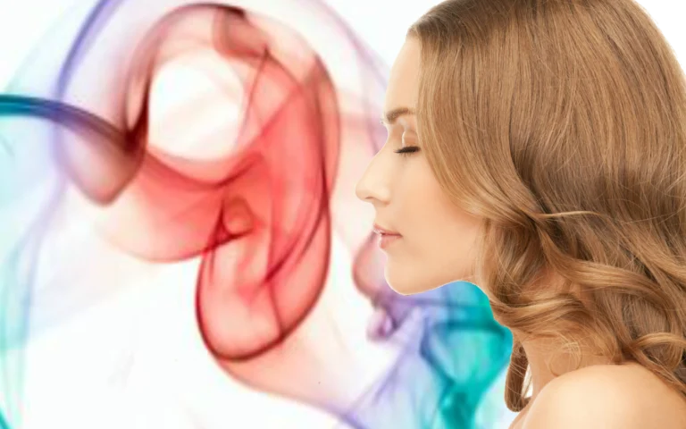 olfato na memória emocional