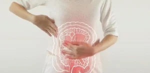 flora intestinal desequilibrada