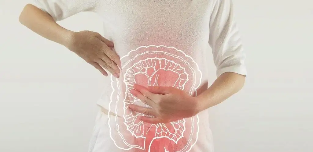 flora intestinal desequilibrada