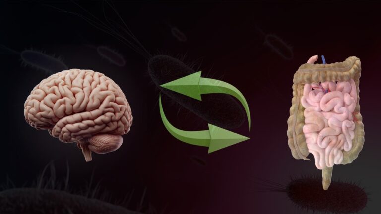 intestino e cerebro